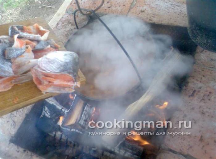 юшка з голови форелі